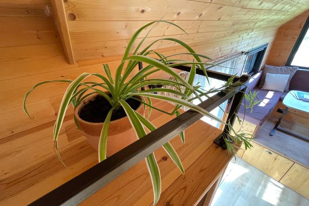 Myinsolite - Tiny-House, Jacuzzi, Brasero, Piscine เอก-มอร์ต ภายนอก รูปภาพ